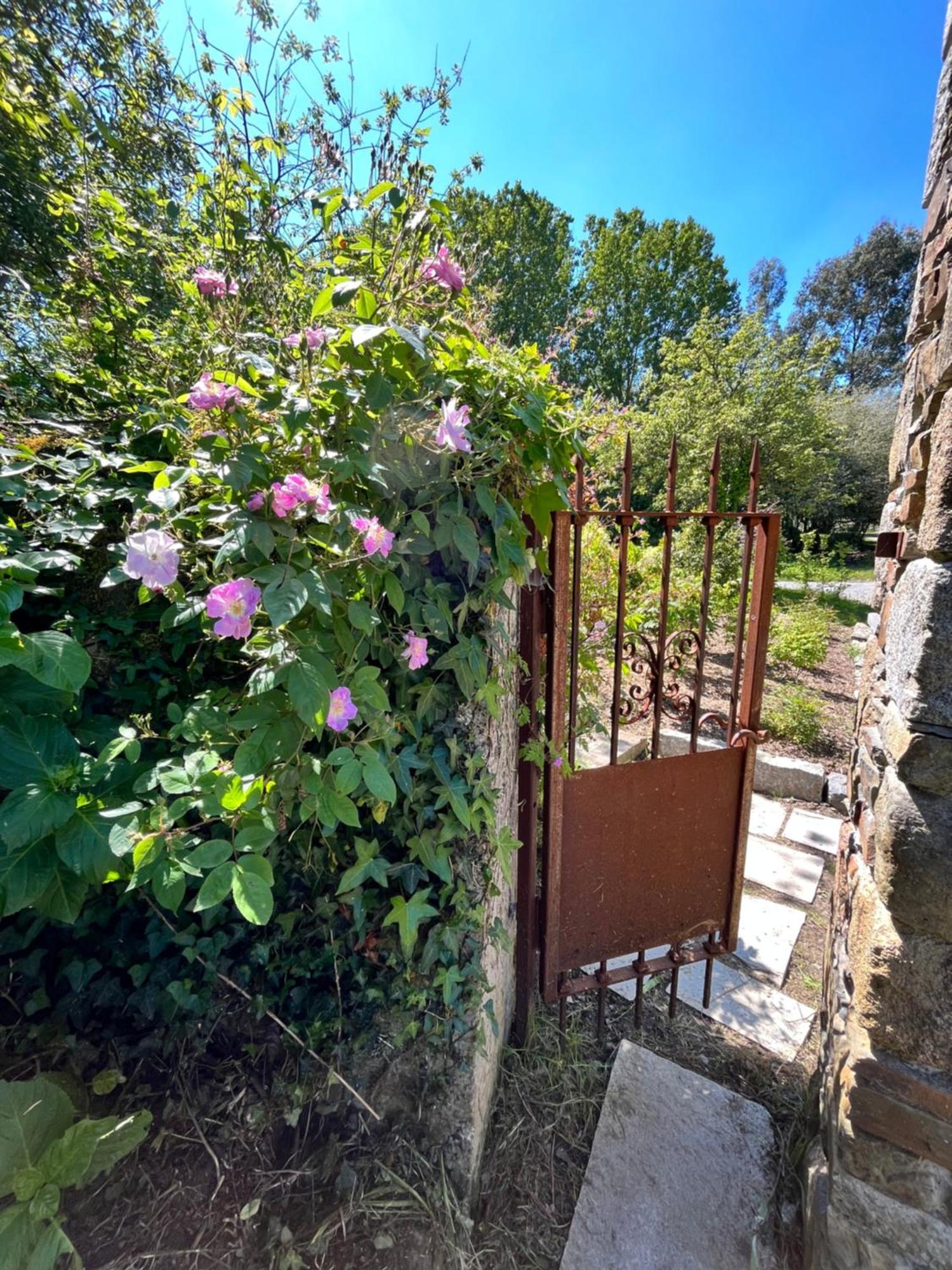 Domaine Du Tertre Ychot Hotell Dol-de-Bretagne Exteriör bild