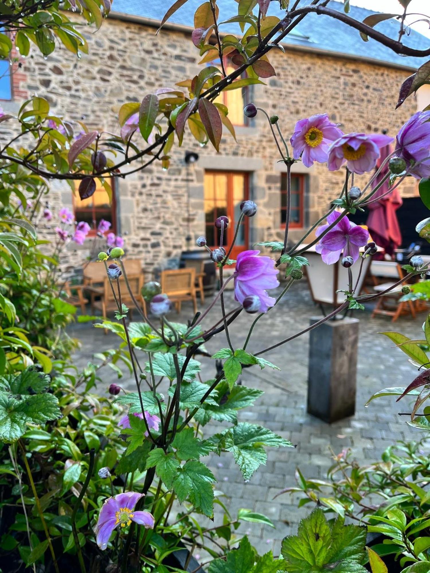 Domaine Du Tertre Ychot Hotell Dol-de-Bretagne Exteriör bild